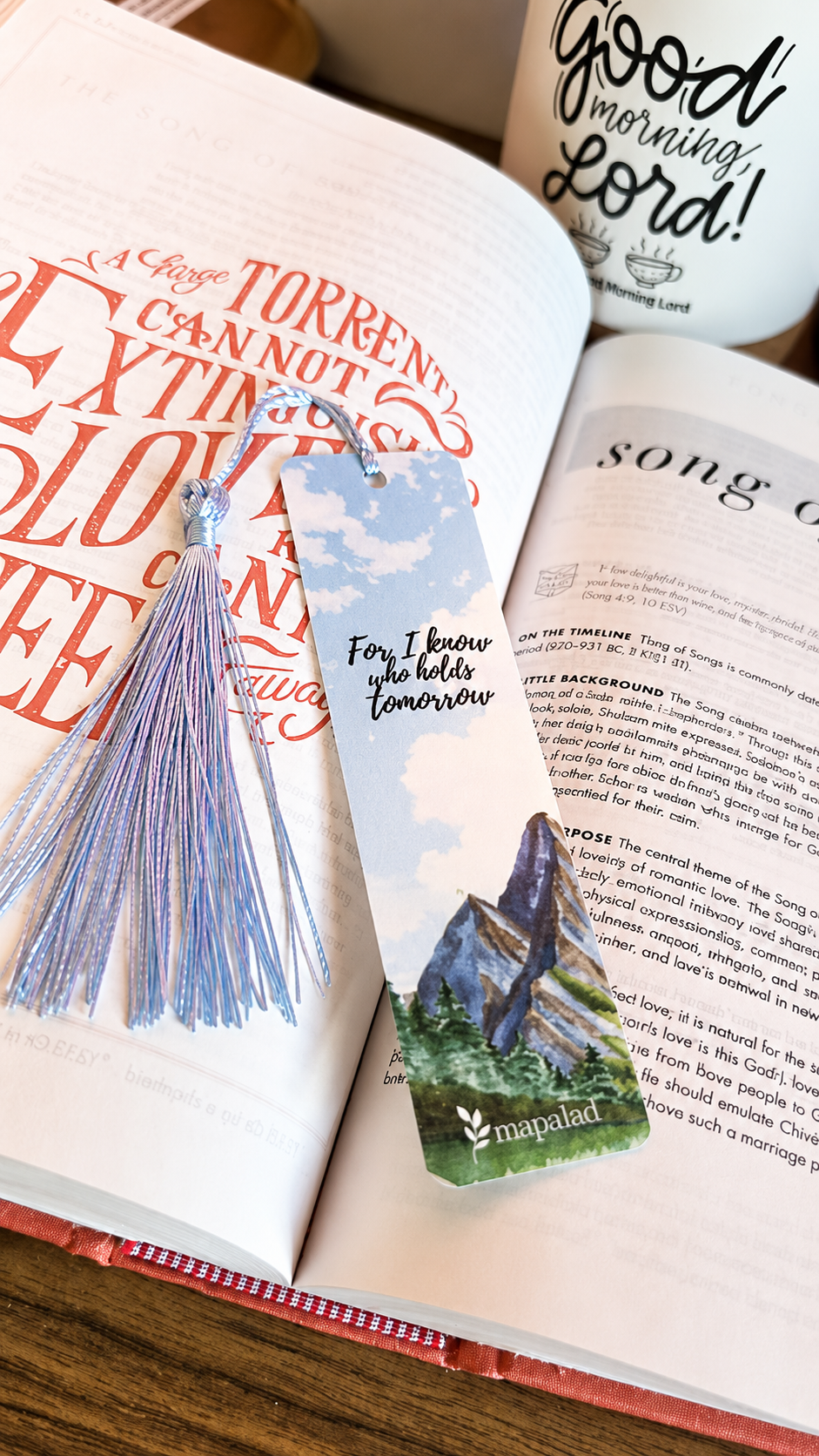 I Know Who Holds Tomorrow Acrylic Bookmark